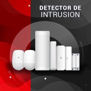 Detector de Intrusión